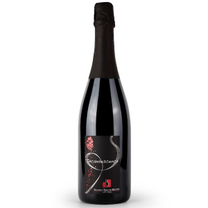 Incandescence - Méthode Traditionnelle Rouge - Penlois – Besson