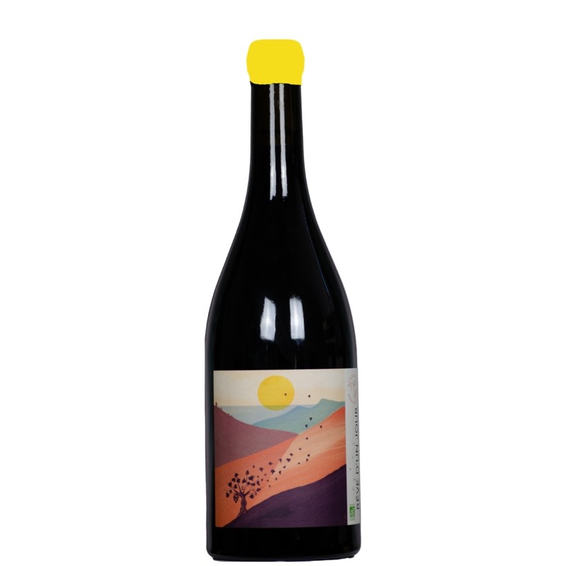 Rêve d'un jour - AOP Côtes du Roussillon Village Blanc - Aurélie Vic