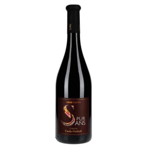 Pur Sans (Sans Sulfite) - Chinon Rouge 2023 - Couly-Dutheil