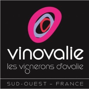 Vinovalie